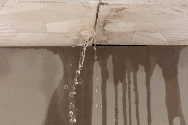 Professional Water Extraction technician working in New Smyrna Beach, FL